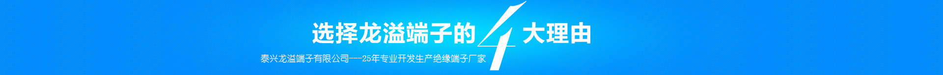 選擇龍溢端子的4大理由，泰興龍溢端子有限公司---25年專業開發生產絕緣端子廠家